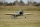 Seagull - Zero A6M 2,18m (Electric retracts) White (SEA334WG)