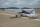 Seagull - Shock Cub 2,59m Silver (SEA357B)