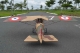 Seagull - Morane-Saulnier AI 1/3 2,59m (SEA358)
