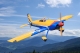 Seagull - Vans RV-8 1,8m Aerobatics and 3D (SEA388)