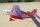 Seagull - Champion Xtreme Decathlon V2 3,1m Red (SEA394)