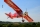 Seagull - Champion Xtreme Decathlon V2 3,1m Red (SEA394)
