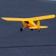 Champ Anniversary Special Edition BNF Basic with SAFE - 515mm