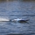 Pro Boat - Sonicwake 24 Self-Righting Brushless Deep-V RTR (Battery & Charger Included) Blue (PRB-1992T2)