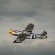Hangar 9 - P-51D Mustang 20cc ARF 69.5 (HAN2820B)