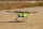 Pilot RC - 67" SkyWolf V2 (1,71m) Green/Blue (4ST2467S-04)