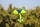 Pilot RC - 67" SkyWolf V2 (1,71m) Green/Blue (4ST2467S-04)