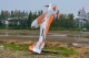 67" SkyWolf V2 orange/weiß - 1710mm