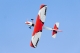 Pilot RC - 67" SkyWolf V2 (1,71m) Orange/White...