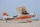 Pilot RC - 67" SkyWolf V2 (1,71m) Orange/White (4ST2467S-05)