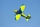 Pilot RC - 88" SkyWolf V2 (2,24m) Green/Blue (4ST2488S-04)