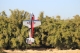 Pilot RC - 90" Extra 330SX (2,29m) 60cc Red-Black (4ST2490E-01)