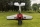 Pilot RC - 90" Extra 330SX (2,29m) 60cc Red-Black (4ST2490E-01)