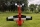 Pilot RC - 90" Extra 330SX (2,29m) 60cc Red-Black (4ST2490E-01)