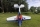 Pilot RC - 90" Extra 330SX (2,29m) 60cc Orange-Blue (4ST2490E-02)
