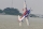 Pilot RC - 90" Extra 330SX (2,29m) 60cc Orange-Blue (4ST2490E-02)