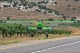 OMP - 100" Bighorn ARF - green 2,54m (OMPP012G)