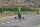 OMP - 100" Bighorn ARF - green 2,54m (OMPP012G)