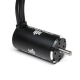 Spektrum - Firma 4685-1450Kv Brushless Motor: 8mm...