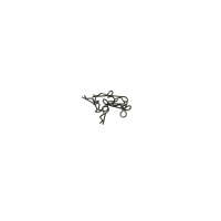 FS Racing - Karosserieclip für GT/DT, Rebel DB (FSR511129)