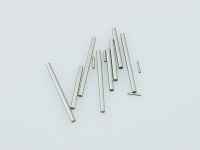 Amewi - PN100 Pin Set AM10SC (009-PN100)