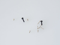 Amewi - Schrauben/Screws group Xtreme (057-25151-22)