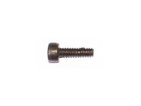 Amewi - Hexagon head screw cup M2x6 DUNE Buggy 1:10 (014-K949-94)