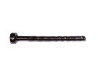 Amewi - Hexagon head screw cup M2x24 DUNE Buggy 1:10 (014-K949-96)