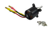 Amewi - Brushless Motor 2836 1250KV Außenläufer (043-40601)