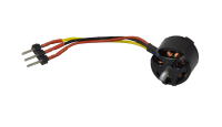 Amewi - Brushless Motor F22 (047-24091-007)