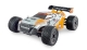 Amewi - Entelodon Pro Truggy brushless 4WD 1:18 RTR (22649)