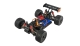 Amewi - Entelodon Pro Truggy brushless 4WD 1:18 RTR (22649)