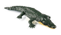 Amewi - Croco das kleine Krokodil 370mm 4-Kanal RTR (26115)