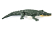 Amewi - Croco das kleine Krokodil 370mm 4-Kanal RTR (26115)
