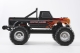 Ford F100 black Brushless RS - 1:10