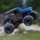 Losi - 1/18 Mini LMT 2S 4X4 RTR Brushed Monster Truck (Battery & Charger Included) (LOS01026)