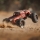 Arrma - 1/10 OUTCAST 4S 4X4 RTR Brushless Stunt Truck (ARA4410V2)