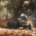 Arrma - 1/10 OUTCAST 4S 4X4 RTR Brushless Stunt Truck (ARA4410V2)