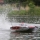 Pro Boat - Blackjack 42 8S Brushless Catamaran RTR (PRB08043)