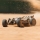 Arrma - 1/14 TYPHON GROM 223S DSC 4X4 RTR Brushless Buggy (ARA2306)
