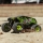 Arrma - 1/16 GORGON GROM 4X4 RTR Brushed Monster Truck (Battery & Charger Included) Yellow (ARA2130T1)