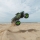 Arrma - 1/16 QUAKE GROM 4X4 RTR Brushed Monster Truck (Battery & Charger Included) Green (ARA2137T2)