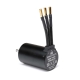 Spektrum - Firma 3650-3400Kv 4-Pole Sensorless Brushless Motor: 5mm (SPMXSM5500)