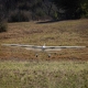 Conscendo 2.0m PNP - 1344mm