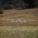 E-flite - Conscendo 2.0m BNF Basic with AS3X+ and SAFE Select (EFL32250)
