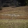 E-flite - Conscendo 2.0m BNF Basic with AS3X+ and SAFE Select (EFL32250)