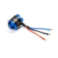 Spektrum - Avian 3542-800Kv 14-Pole Brushless Motor (SPMX-1142)
