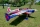 ExtremeFlight - 60" Slick 580 V2 Plus - Red/White/Blue 1,52m (EFA372RW)