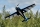 ExtremeFlight - 104" Extra NG V3 – Blau/Weiß 2,64 m (EFA412V3BW)