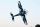 ExtremeFlight - 104" Extra NG V3 – Blau/Weiß 2,64 m (EFA412V3BW)